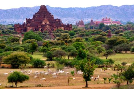 1012865_10204328179778050_9155658812204822069_n