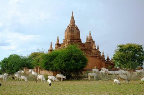 10455837_10204328178978030_4370789567646235144_n