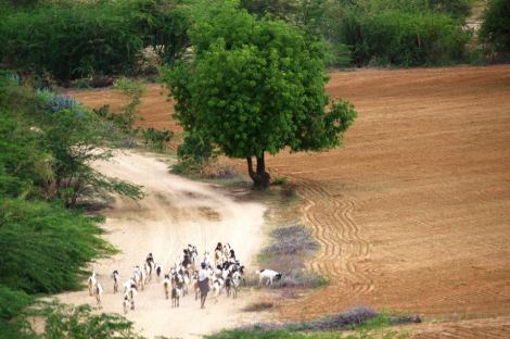 10683_10204328179578045_3004237685647202260_n