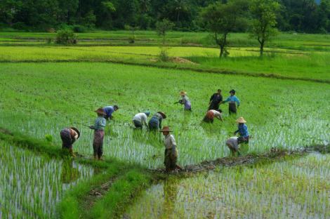 10173533_10204328182098108_5178995382660861802_n