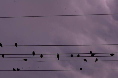 10339781_10204328183218136_138030070132811431_n[1]