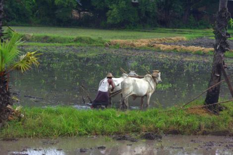 10357507_10204328182618121_7731381500259067184_n