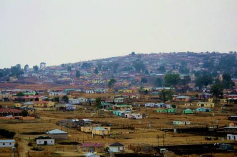 10665794_10204276427484275_1752942591680568594_n