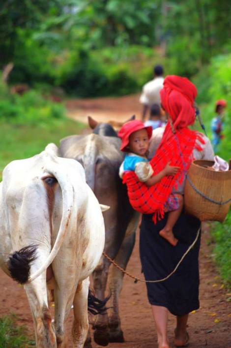 1924487_10204328188258262_3342816401916970062_n[2]