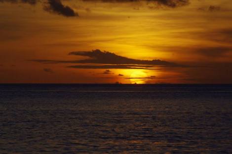 11027978_10206868568886190_2207362908303912941_n