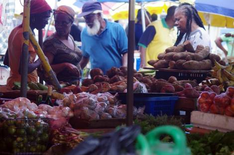 11233488_10206868559965967_147477010431612629_n