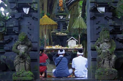 14650539_10209809276682047_183375214214177030_n