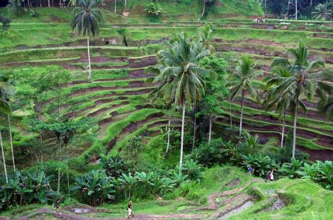 14708393_10209809279882127_1143732142118521195_n